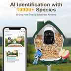 Bird Feeder with Camera Solar Powered, 2K Video Smart Bird Camera Feeder Live with 32GB Card