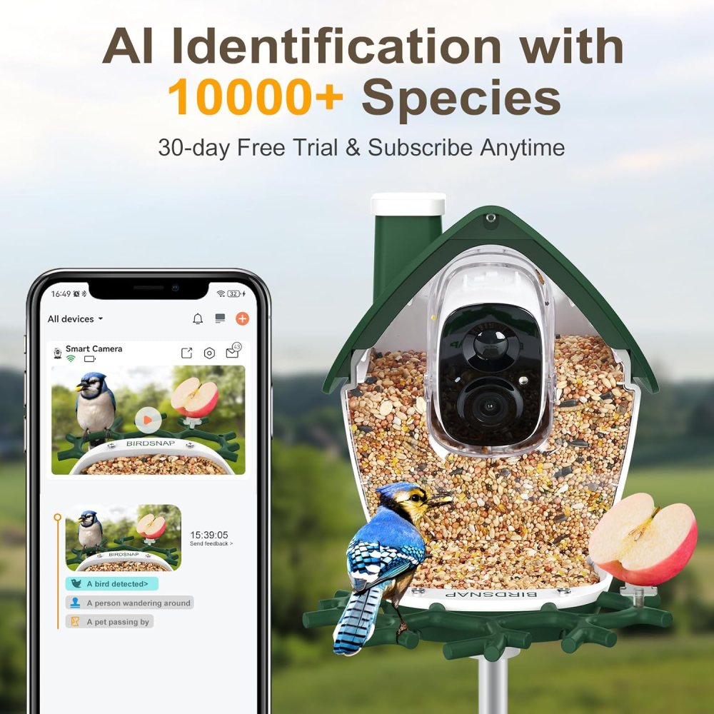 Bird Feeder with Camera Solar Powered, 2K Video Smart Bird Camera Feeder Live with 32GB Card