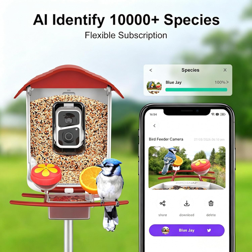 Bird Feeder with Camera,2K HD with 32GB Card, AI Identify Smart Bird House Cam,Live Stream,Ideal Gift for Bird Lover