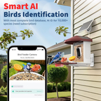 Bird Feeder with Camera with AI Identify Birds, 2K Live View, Instant Arrival Alerts, Smart Bird House