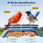Bird Feeder with Camera, AI Identify & Auto Capture, 2K HD Live Video Smart Bird Feeder