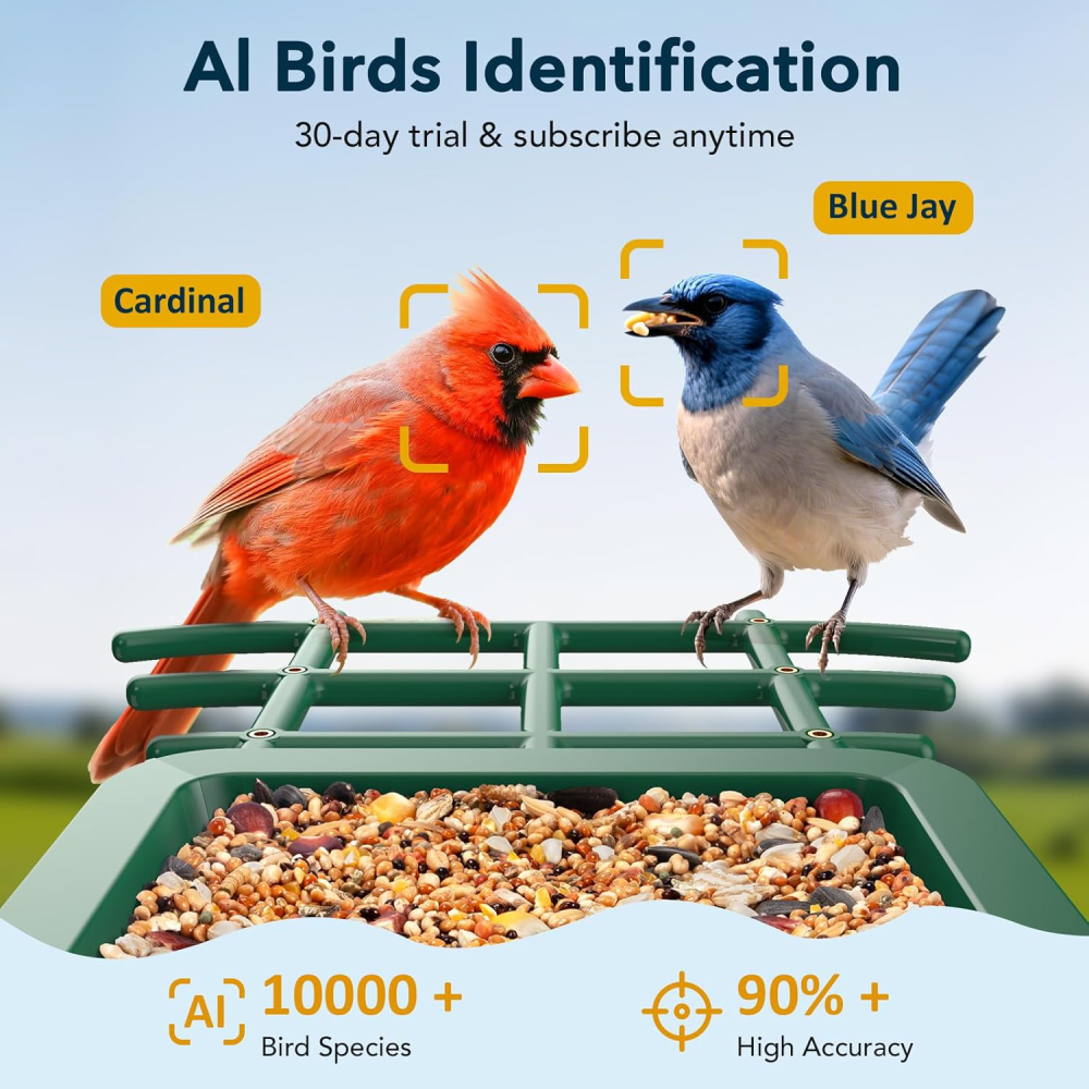 Bird Feeder with Camera Solar Powered, AI Identify & Auto Capture, 2K HD Live Video Gift for Bird Lovers