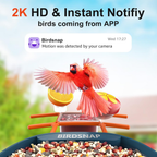 Bird Feeder with Camera,2K HD with 32GB Card, AI Identify Smart Bird House Cam,Live Stream,Motion Detection