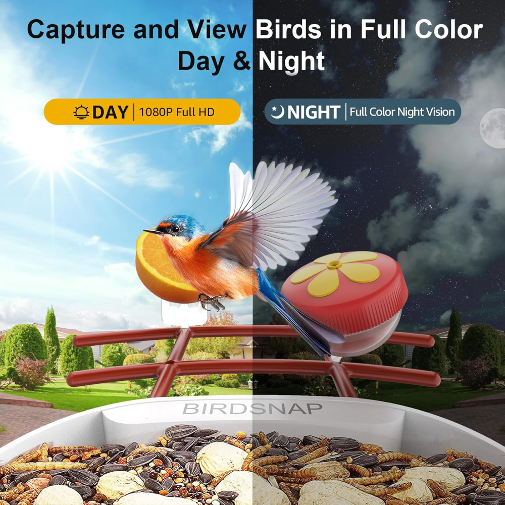 Bird Feeder with Camera,2K HD with 32GB Card, AI Identify Smart Bird House Cam,Live Stream,Ideal Gift for Bird Lover