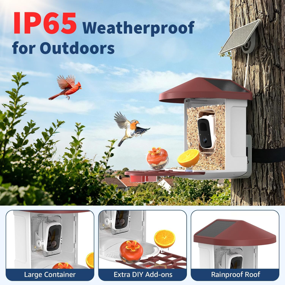 Bird Feeder with Camera with AI Identify Birds, 2K Live View, Instant Arrival Alerts, Smart Bird House