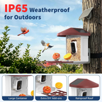 Bird Feeder with Camera with AI Identify Birds, 2K Live View, Instant Arrival Alerts, Smart Bird House