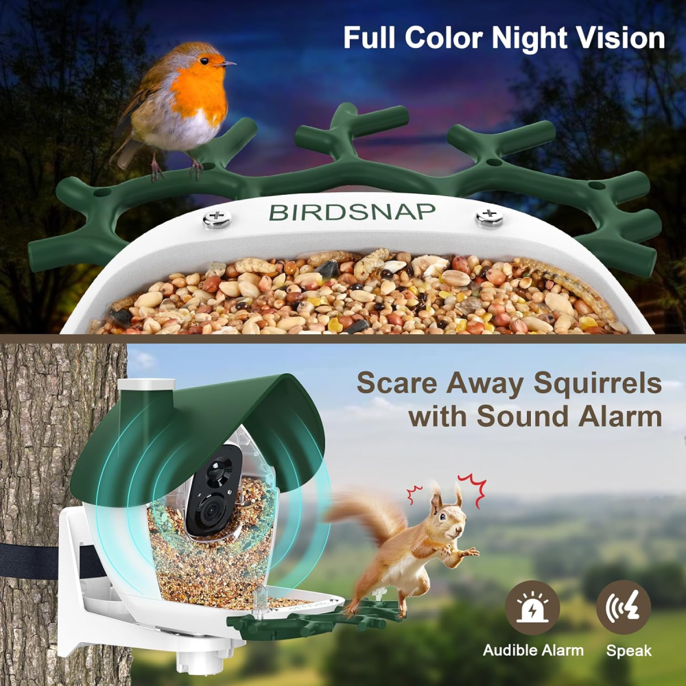 Bird Feeder with Camera Solar Powered, 2K Video Smart Bird Camera Feeder Live with 32GB Card