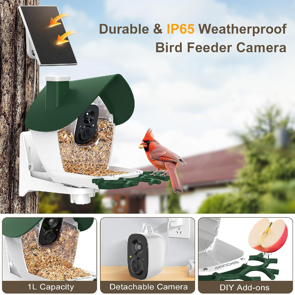 Bird Feeder with Camera Solar Powered, 2K Video Smart Bird Camera Feeder Live with 32GB Card