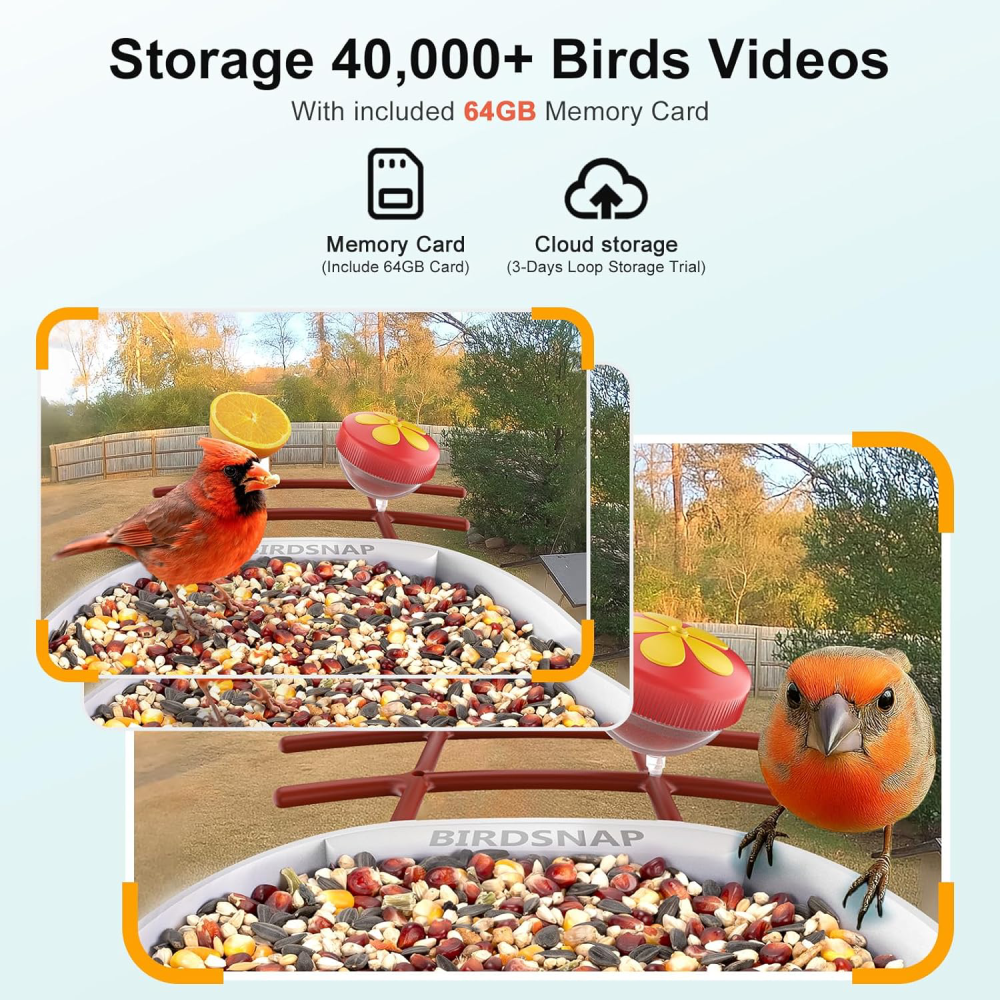 Bird Feeder with Camera,2K HD with 32GB Card, AI Identify Smart Bird House Cam,Live Stream,Ideal Gift for Bird Lover