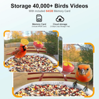 Bird Feeder with Camera,2K HD with 32GB Card, AI Identify Smart Bird House Cam,Live Stream,Ideal Gift for Bird Lover