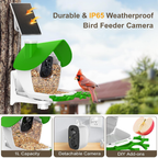 Smart Bird Feeder with Camera, 2K Video Bird Camera Feeder Live with 32GB Card, AI Identify, Ideal Gift for Birds Lover