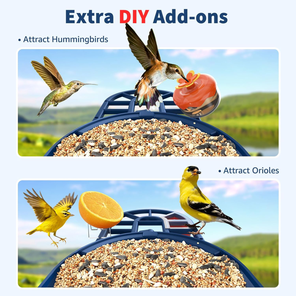 Bird Feeder with Camera with AI Identify 10000+ Birds Species, 2K Live View, Instant Arrival Alerts