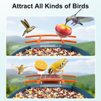 Bird Feeder with Camera,2K HD with 32GB Card, AI Identify Smart Bird House Cam,Live Stream,Motion Detection