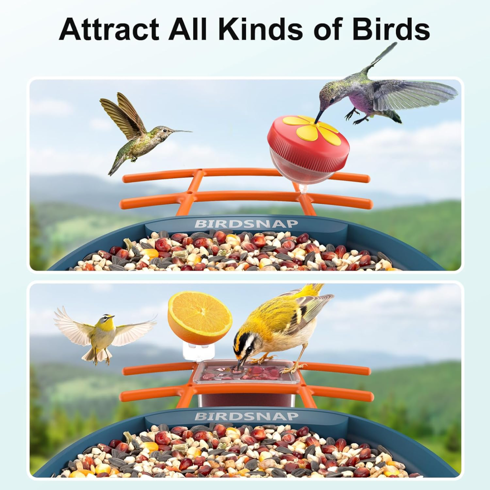 Bird Feeder with Camera,2K HD with 32GB Card, AI Identify Smart Bird House Cam,Live Stream,Motion Detection