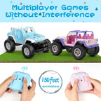 NQD Blue 1:16 Remote Control Off Road RC Truck, 2.4Ghz All Terrain Toy Car with Stickers, 80 Mins Playtime Gift for Kids
